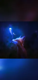 Mystical wallpaper of a fox with a glowing jellyfish.