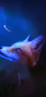 Artistic fox gazing at a starry night sky with vibrant blue hues.