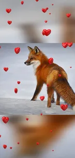 Fox in snowy landscape with red hearts