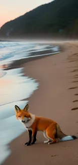 Fox sitting on a serene beach at sunset with ocean waves gently crashing.