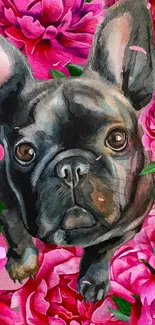 French Bulldog with pink floral background illustration.