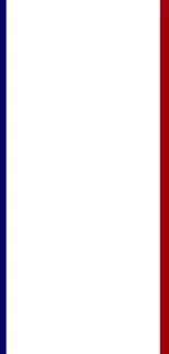 French flag mobile wallpaper with tricolor design.