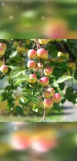 Bright apple tree with lush green leaves