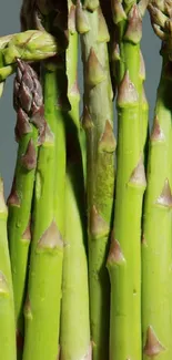 Close-up view of fresh green asparagus stalks.