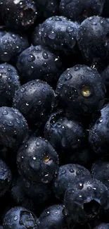 Close-up of fresh blueberries with water droplets in dark tones.