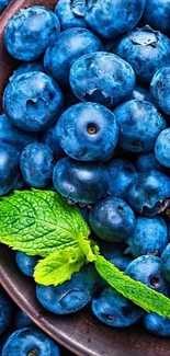 Fresh blueberries with mint leaves.