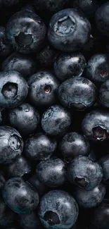 Close-up of fresh blueberries in dark blue hues forming a textured pattern.