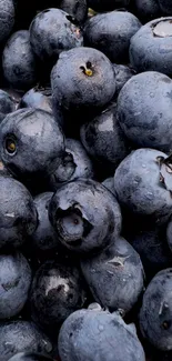 Close-up of fresh blueberries for a vibrant phone wallpaper.