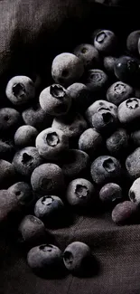 A close-up of fresh blueberries on dark brown cloth.