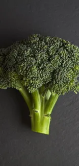 Vibrant green broccoli on dark slate background mobile wallpaper.