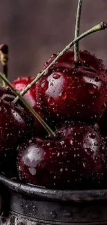 A closeup of fresh red cherries with water droplets in a rustic bowl.