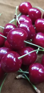 Vibrant bunch of red cherries on display.