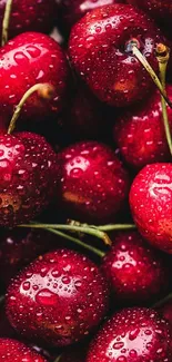Vibrant red cherry mobile wallpaper with glistening, fresh cherries close-up.