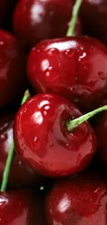 Glossy red cherries close-up wallpaper for mobile screen.