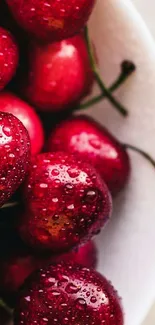 Close-up of fresh cherries with water droplets in a white bowl.