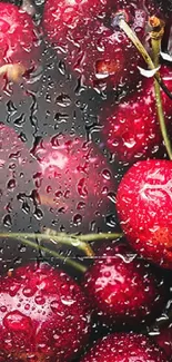 Juicy red cherries with raindrops in high resolution wallpaper.