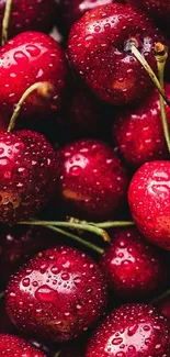 Juicy red cherries covered in water droplets on a vibrant wallpaper.