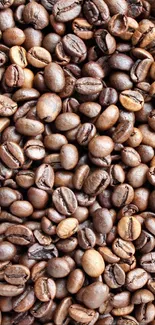 Close-up of roasted coffee beans in a textured pattern.