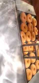 Tray of freshly made donuts being prepared in a bakery kitchen.