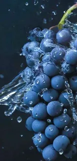 Fresh grapes with water splash on mobile wallpaper.