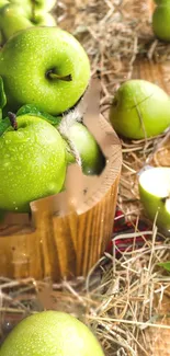 Vibrant green apples in a wooden basket on a rustic surface.