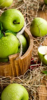 A wooden basket of fresh green apples on straw.