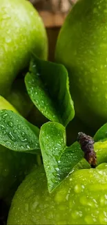 Close-up of fresh green apples with dewy leaves.