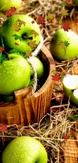 Rustic basket with fresh green apples on straw, capturing a natural scene.