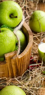 Fresh green apples in a wooden basket on hay.