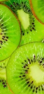 Close-up of fresh green kiwi slices in a vibrant pattern.