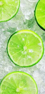 Vibrant green lime slices on clear ice cubes, perfect for a fresh wallpaper.