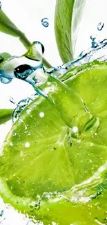 Lime slice splashes into water, fresh and green wallpaper.