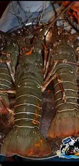 Green lobsters on a decorative metal tray, perfect for food lovers.