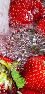 Red strawberries in water with bubbles, a fresh fruity wallpaper for phones.