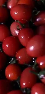 Vibrant red tomatoes with green stems on a dark background.