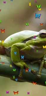 A green frog on a branch with colorful butterflies floating around.