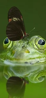 Frog and butterfly on water with reflection in lush greenery.