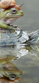 A frog and turtle with a snail on its head reflecting in still water.