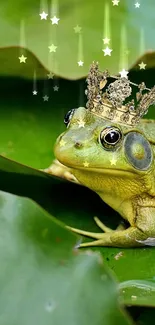 Frog with a crown sitting on green lily pads in a pond.