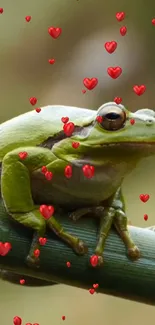 Green frog on bamboo surrounded by red hearts.