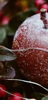 Frosted apple with red berries in natural setting.