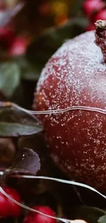 Frosted apple with fairy lights, red hues