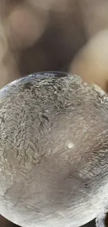 Frosted bubble with intricate ice patterns on a blurred background wallpaper.