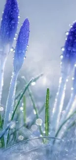 Frosted blue flowers with ice crystals on a serene natural background.