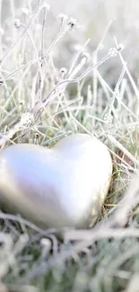 Frosty landscape with a heart on a nature wallpaper.