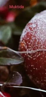 Frosted pomegranate with dark leaves.