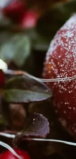 Frosted red apple with leaves, close-up view.