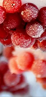 Frosted red berries with a close-up view under snow.