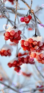 Frosty red berries against a snowy winter backdrop.