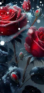 Frosted red roses on a dark background, capturing winter beauty.